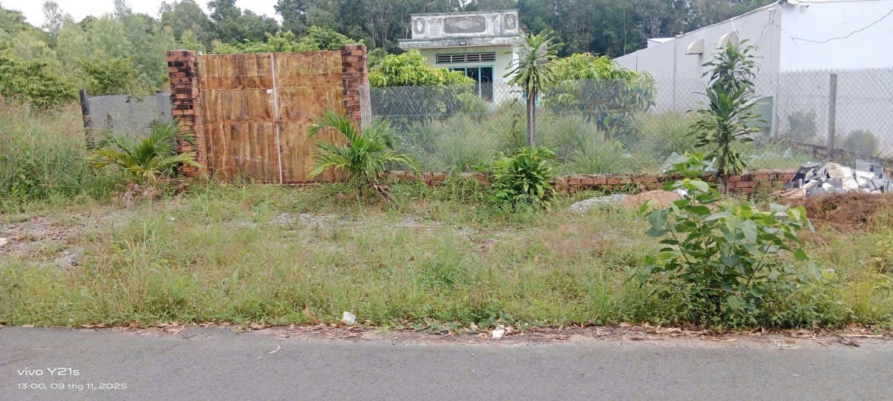 CHÍNH CHỦ BÁN ĐẤT BIỆT THỰ CÁCH QUỐC LỘ 56 100M  PHƯỜNG KIM DINH TP. BÀ RỊA - VŨNG TÀU