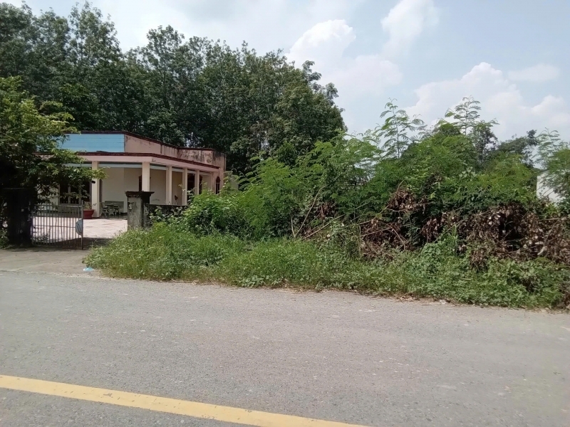 CHÍNH CHỦ BÁN ĐẤT HIỆN HỮU – MẶT TIỀN ĐƯỜNG AN NHƠN TÂY HUYỆN CỦ CHI HỒ CHÍ MINH