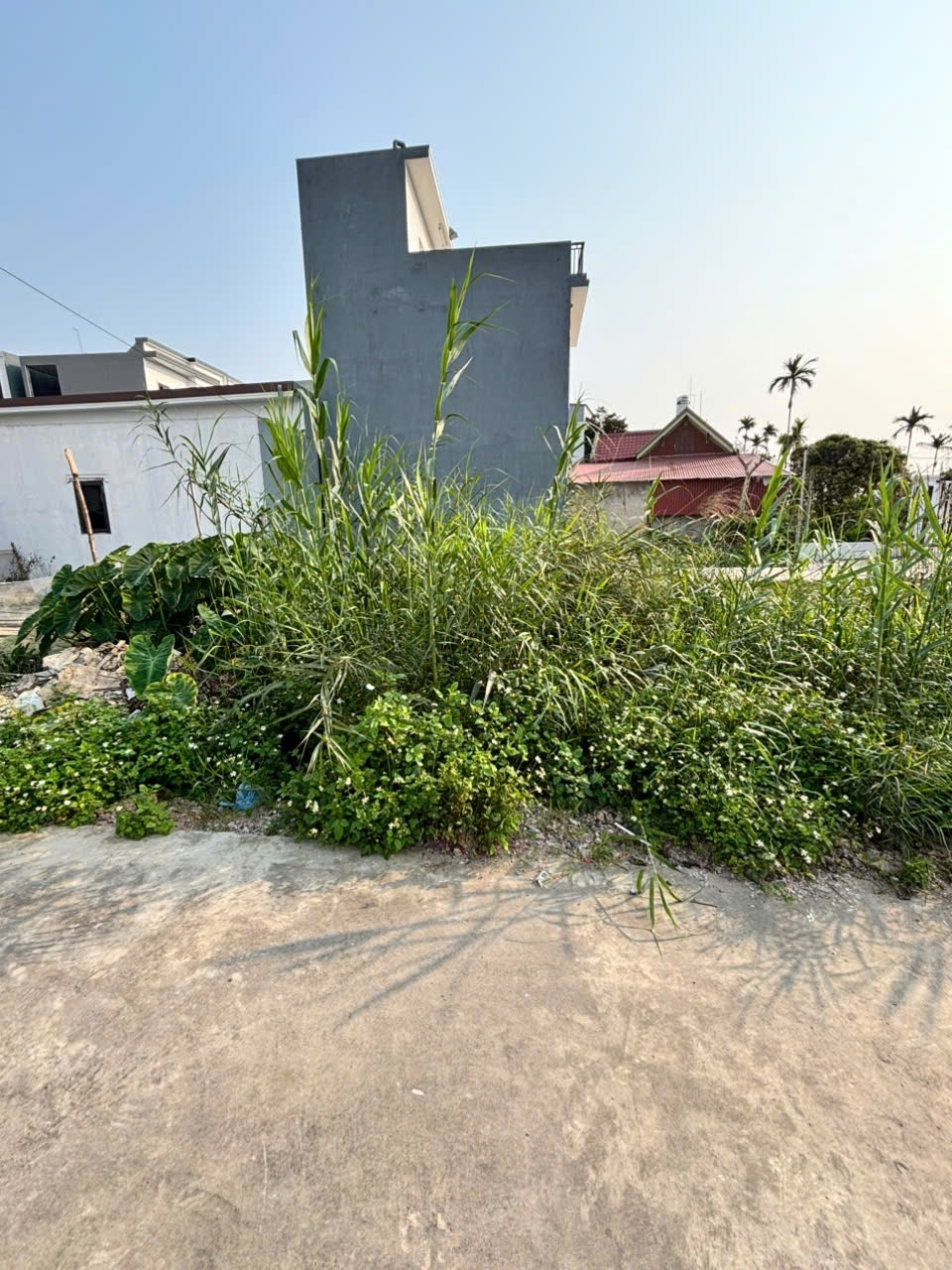 Chính Chủ Bán Đất - Ô Tô Vào Tận Đất Tại khu vực Hy Tái Hồng Thái An Dương. Sổ Đỏ Chính Chủ