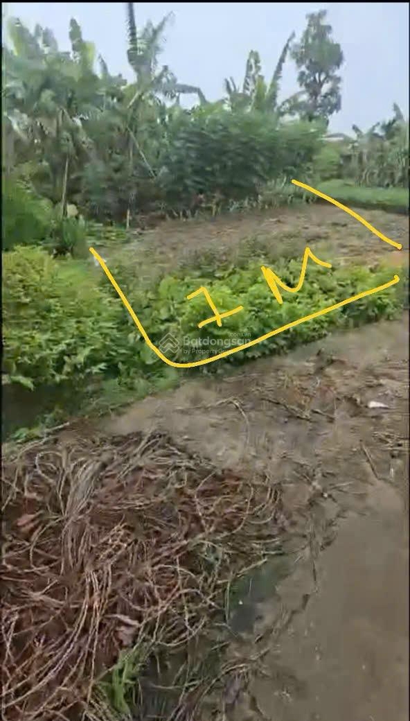 CHÍNH CHỦ BÁN ĐẤT SẴN SỔ MẶT TIỀN OTO TRÁNH GẦN SÂN BAY GIA BÌNH – BẮC NINH