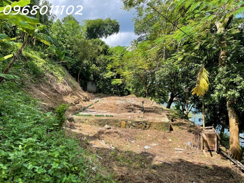 Chính chủ bán đất tay chạm hồ Hoà Bình cực đẹp diện tích 817m2 thổ cư 300m.