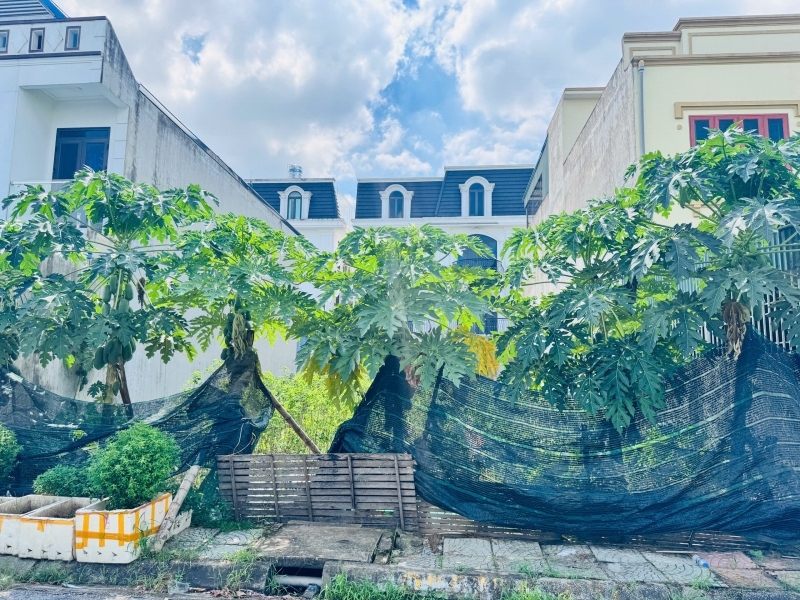 CHÍNH CHỦ BÁN LÔ ĐẤT ĐẸP TẠI CHUNG CƯ TDP LƯƠNG QUÁN-AN DƯƠNG HẢI PHÒNG