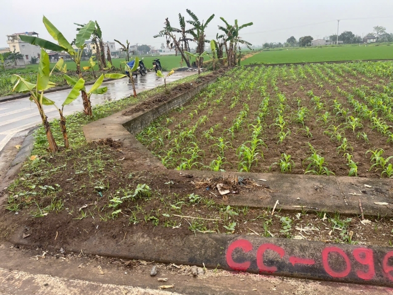CHÍNH CHỦ BÁN LÔ ĐẤT TẠI HƯNG HÀTHÁI BÌNH – 138M2 - VỊ TRÍ ĐẸP - GIÁ TỐT ĐẦU TƯ