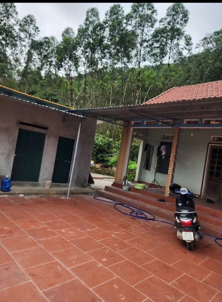 CHÍNH CHỦ CẦN BÁN 35HA ĐẤT TRANG TRẠI TẠI HỮU LŨNG – LẠNG SƠN