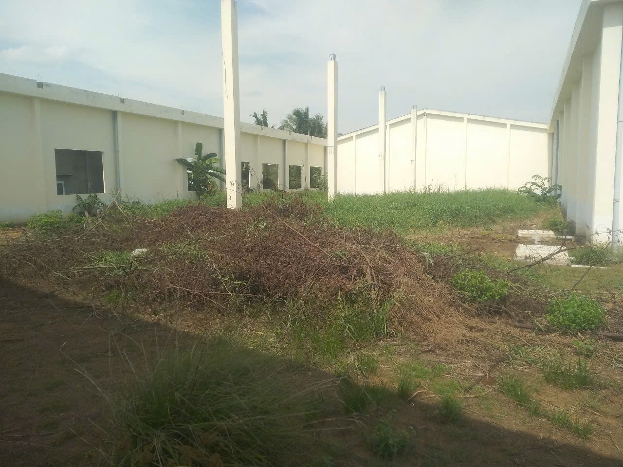 CHÍNH CHỦ CẦN BÁN GẤP LÔ ĐẤT CÓ VỊ TRÍ ĐẸP TẠI THỊ XÃ MỸ TỊNH AN - CHỢ GẠO - TIỀN GIANG.