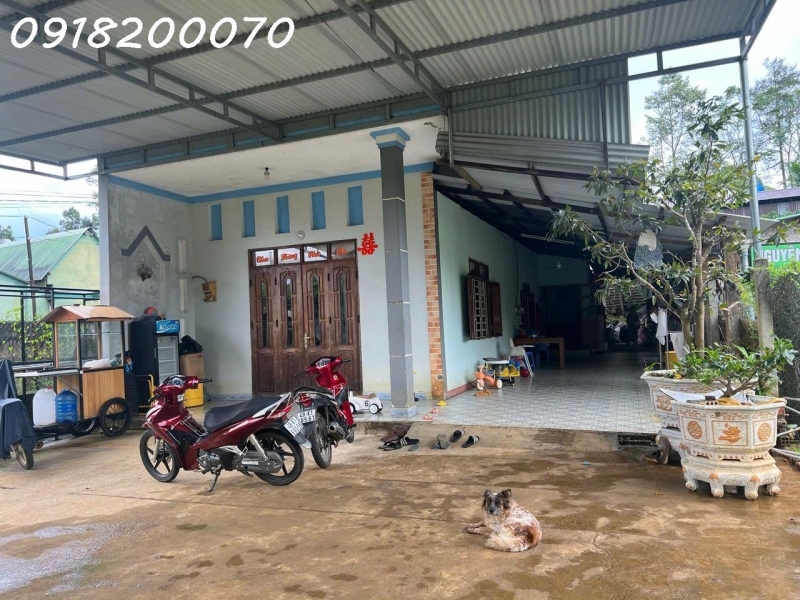 Chính chủ cần bán nhà đang ở tại Bảo Lộc Lâm Đồng