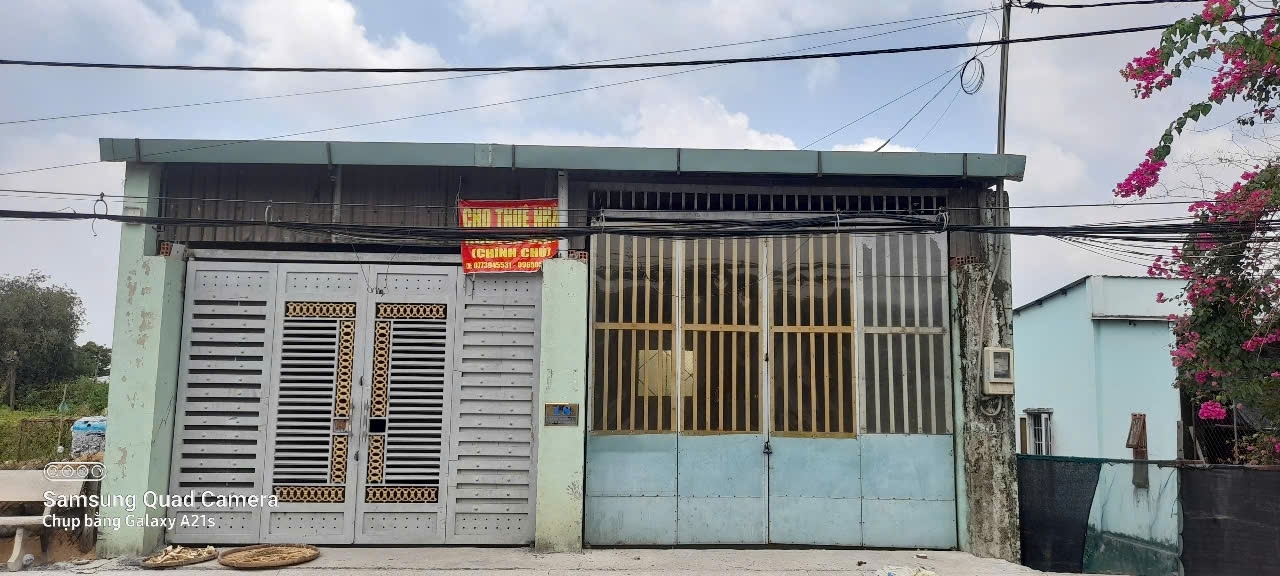 CHÍNH CHỦ CẦN CHO THUÊ NHÀ VÀ ĐẤT ĐƯỜNG NHỊ BÌNH 5 - HUYỆN HÓC MÔN - TP HỒ CHÍ MINH