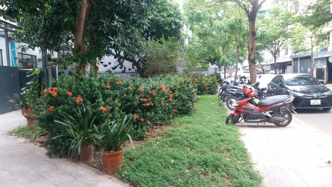 Cho thuê biệt thự 150m2 4 tầng gần Mỹ Đình hoàn thiện đẹp giá tốt