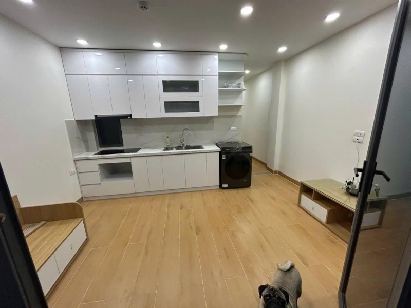 Cho thuê căn hộ CCMN mới kinh kong ngõ sân quần Đống Đa 60m2 2 ngủ Full đồ