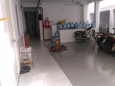 CHO THUÊ PHÒNG GIÁ RẺ CÓ HỆ THỐNG PCCC AN TOÀN TRUNG TÂM PHƯỜNG 3