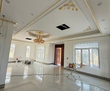 chủ cần bán biệt thự nhà vườn mới 100% chưa lắp đặt nội thất tại Vũ Thư Thái Bình cũ