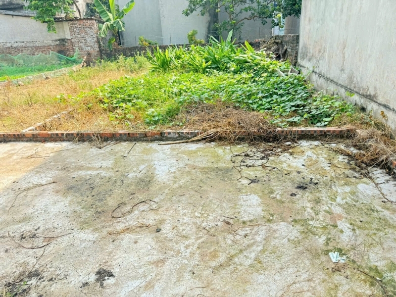 Cực hiếm 43m đất Tiền Phong Mê Linh. Giá 34 tỷ. Full thổ cư ô tô đỗ. Gần trường ĐH Tài Chính