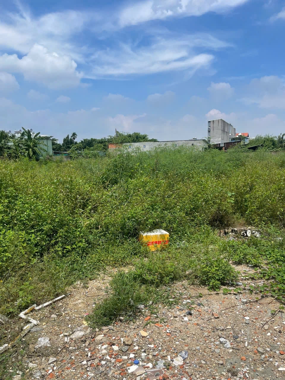 ĐẤT 3.395M² FULL THỔ – ĐƯỜNG VÕ THỊ LIỄU AN PHÚ ĐÔNG Q12 – 2 SỔ RIÊNG