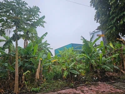 ĐẤT ĐẸP 256m2 KHU ĐÔ THỊ PHÍA TÂY CẦU PHÚ LƯƠNG 