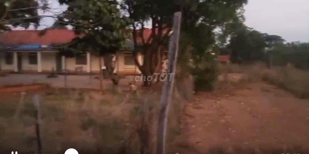 ĐẤT ĐẸP CHÍNH CHỦ – CẦN BÁN TẠI Ấp 3, Xã Thanh Hòa, Huyện Bù Đốp, Bình Phước