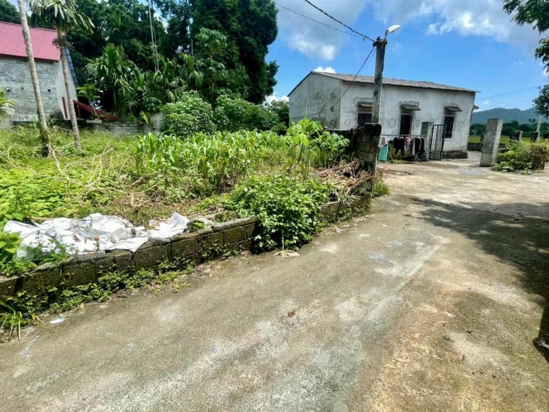 ĐẤT ĐẸP GIÁ RẺ VỊ TRÍ ĐẮC ĐỊA TẠI LIÊN SƠN LƯƠNG SƠN HÒA BÌNH