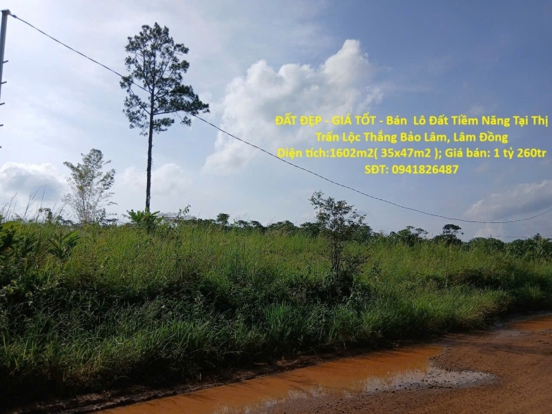 ĐẤT ĐẸP - GIÁ TỐT - Bán Lô Đất Tiềm Năng Tại Thị Trấn Lộc Thắng Bảo Lâm Lâm Đồng