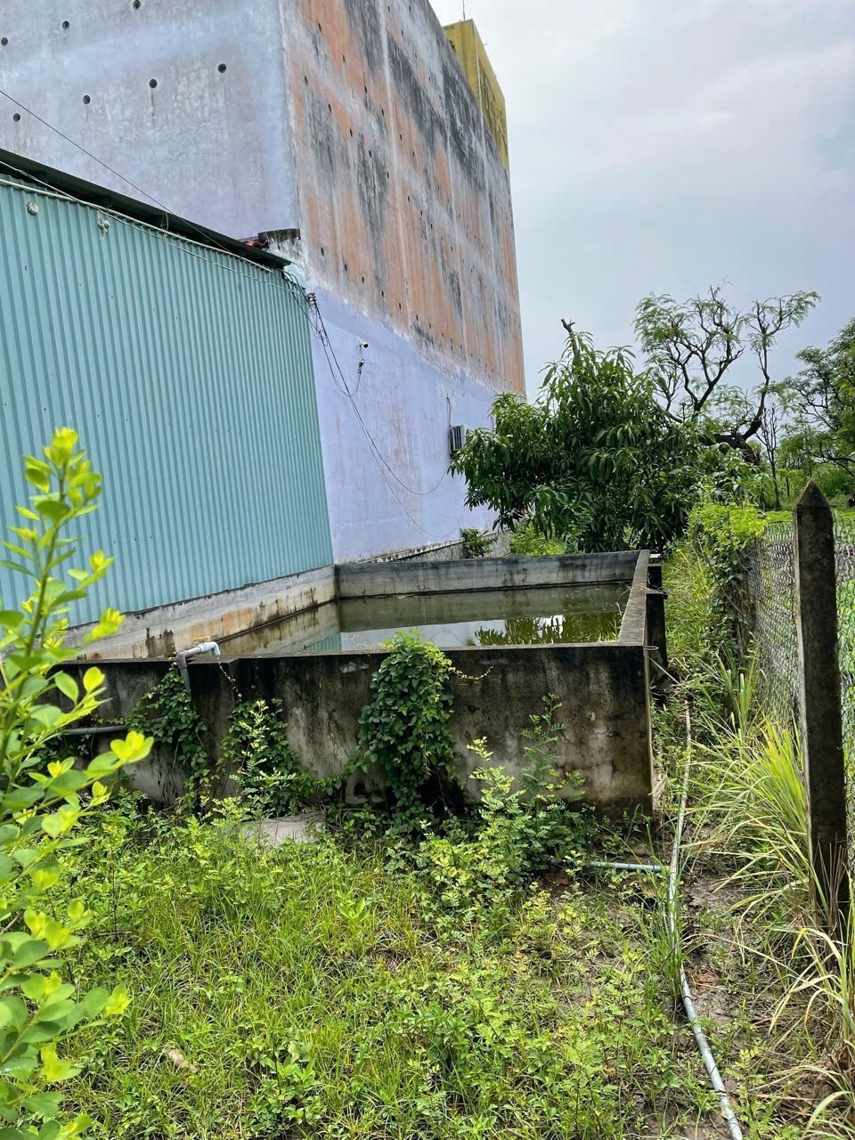 ĐẤT ĐẸP – GIÁ TỐT  – CHÍNH CHỦ CẦN BÁN 3 LÔ ĐẤT VỊ TRÍ ĐẸP TẠI Tiền Giang