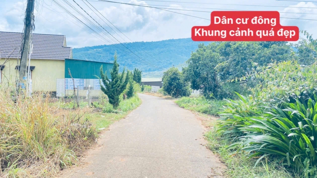 Đất hẻm nhựa thông quốc lộ 20 và cao tốc, hiệp an cũ, đức trọng, lâm đồng