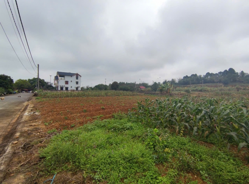 Đất tái định cư Đồng Doi – điểm sáng đầu tư gần ĐHQG Hà Nội