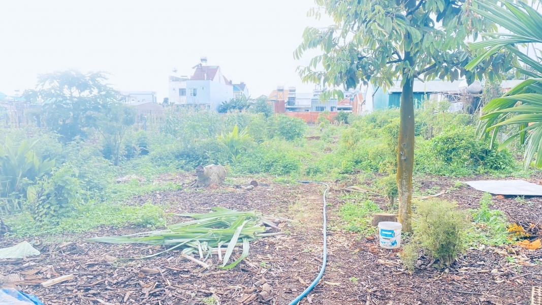 Đất víp mặt tiền Trần Bình Trọng, trung tâm đức trọng, lâm đồng