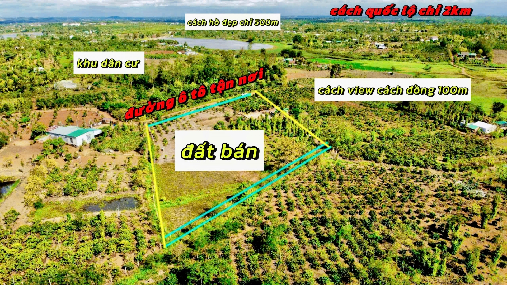 Ea Drông- Thị xã Buôn Hồ-Đắk Lắk dt 8000m2 sẵn 400m2 thổ cư sẵn nhà full vải tiêu cà phê cau.. cho
