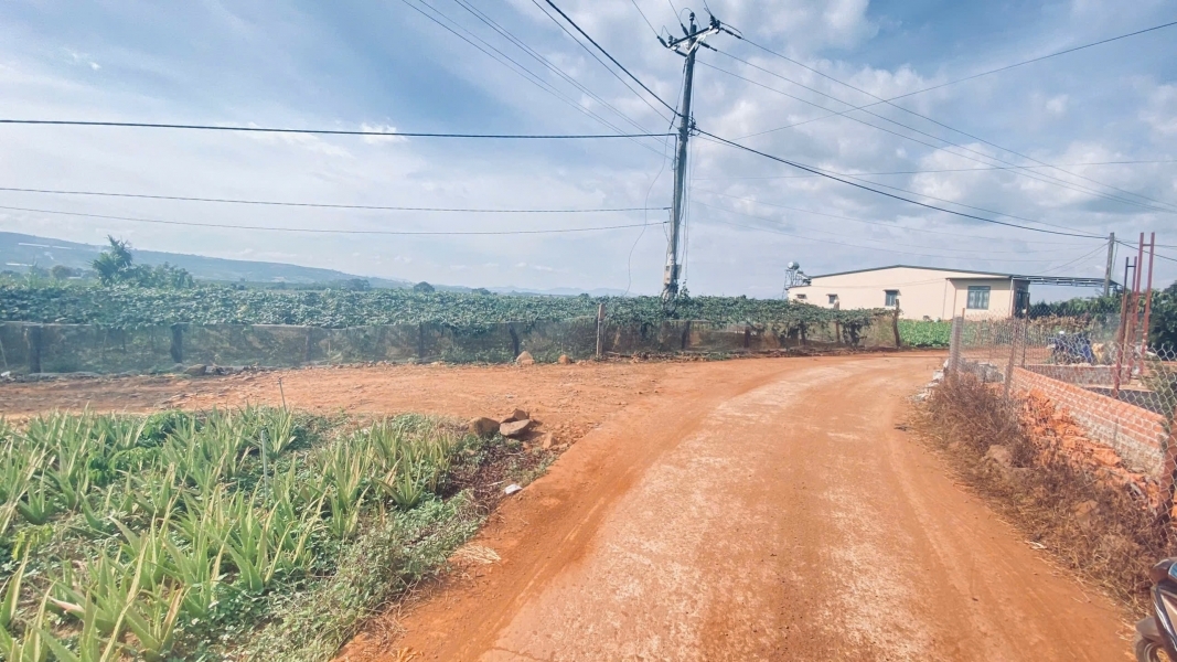 Gần 1,1 ha ( chỉ 11,5 tỷ ), hẻm ba cản, tân hội, đức trọng cũ, lâm đồng