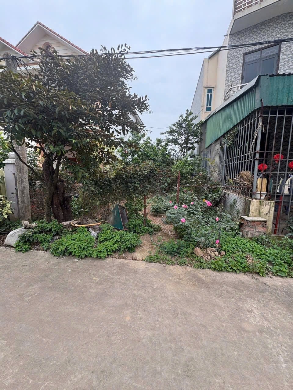 Gia đình cần bán miếng đất đấu giá khu ao sau Phùng Nguyên Phú Thọ