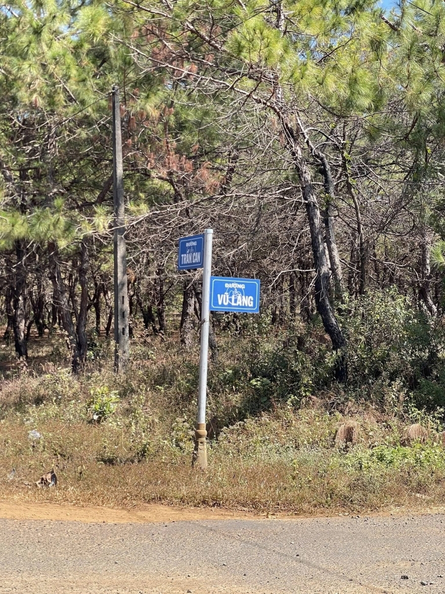 HÀNG HIẾM – BÁN QUỸ ĐẤT LỚN MẶT TIỀN ĐƯỜNG NHỰA TRẦN CAN TP. PLEIKU GIA LAI