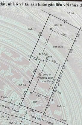 HÀNG NGỘP CỰC HIẾM NHÀ VƯỜN HƠN 500M² GIỮA LÒNG TÂN XUÂN – CHỈ 16 TỶ!