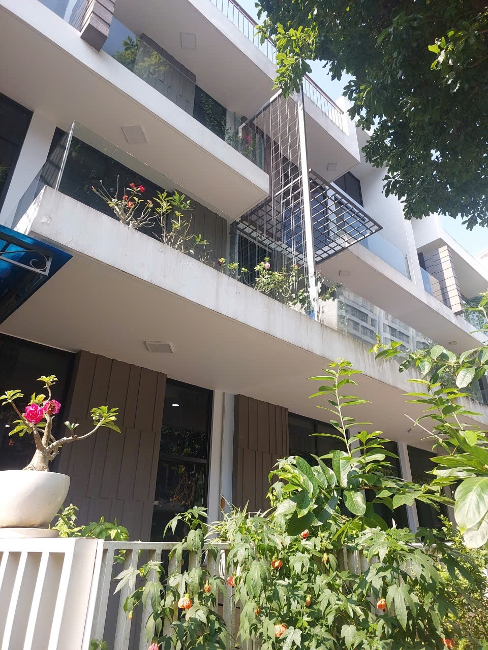 Khu nhà Bella cạnh Citihone đường 35 Cát Lái Q2 nhỉnh 10tyNhà đẹp không tỳ vết nội thất sịnmua