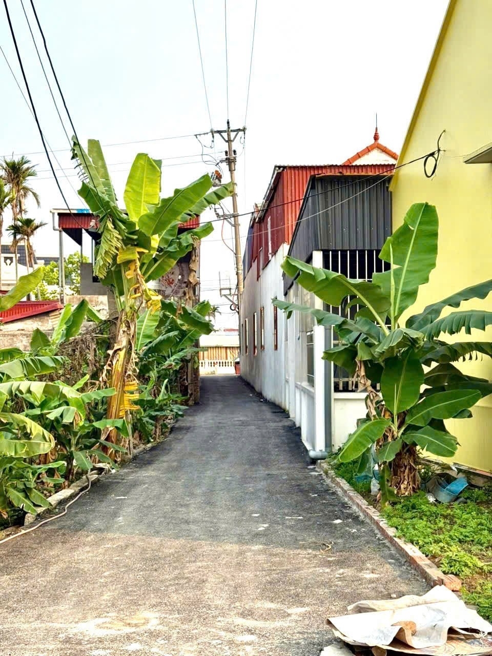 Lô 615m² giá F0 duy nhất tại Trung Nghĩa – Đồ Sơn chỉ hơn 6xx triệu ZALO 0567 222 555