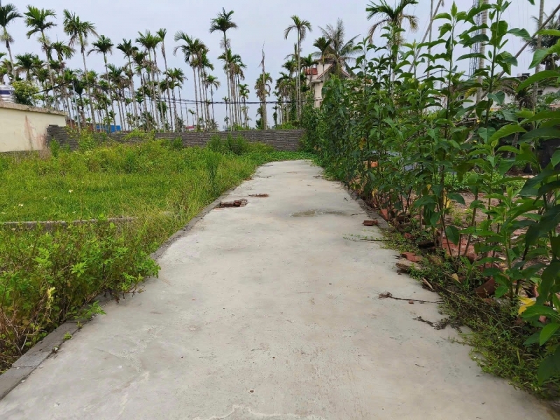 Lô nhỏ 44m² giá hiếm Hoà Nghĩa – gần đường 4 làn thanh khoản cực nhanh  ZALO 0567 222 555