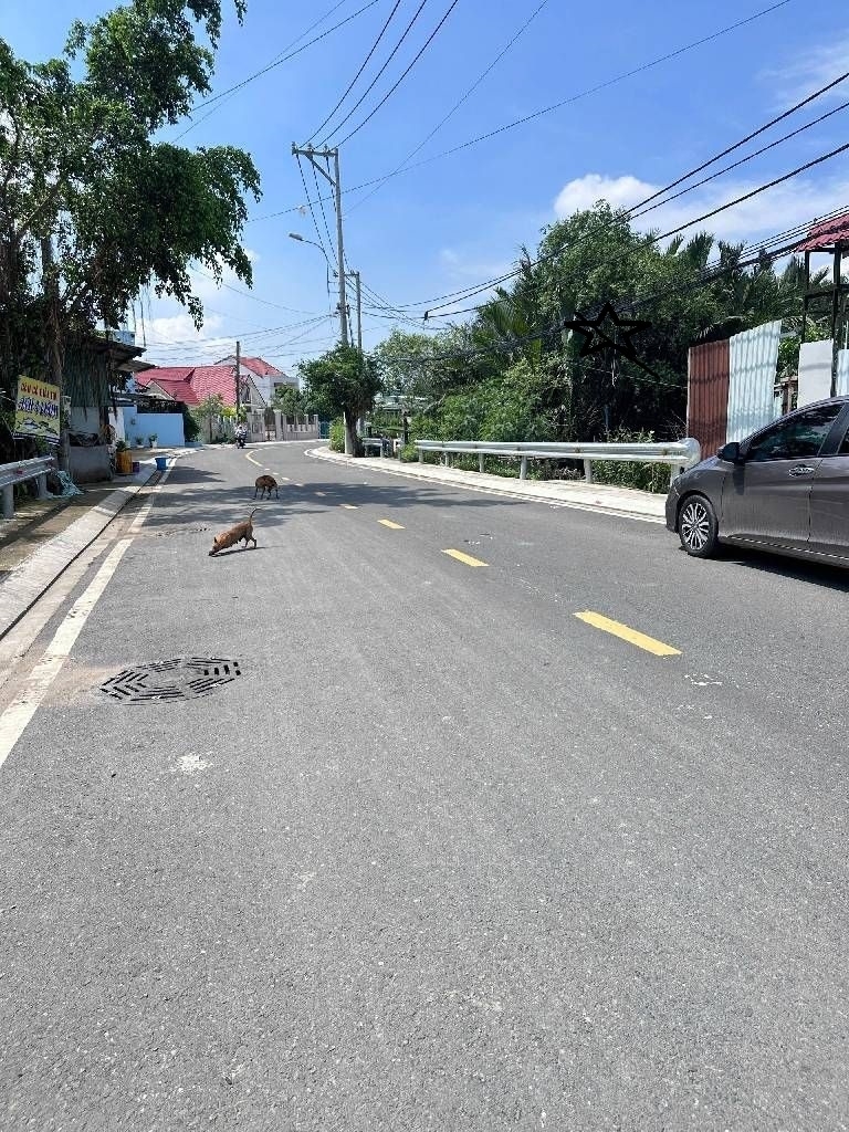 [MẶT TIỀN] 1.800 m2 TỈNH LỘ 15 CỦ CHI – NGANG 25M – GIÁ CHÍNH CHỦ