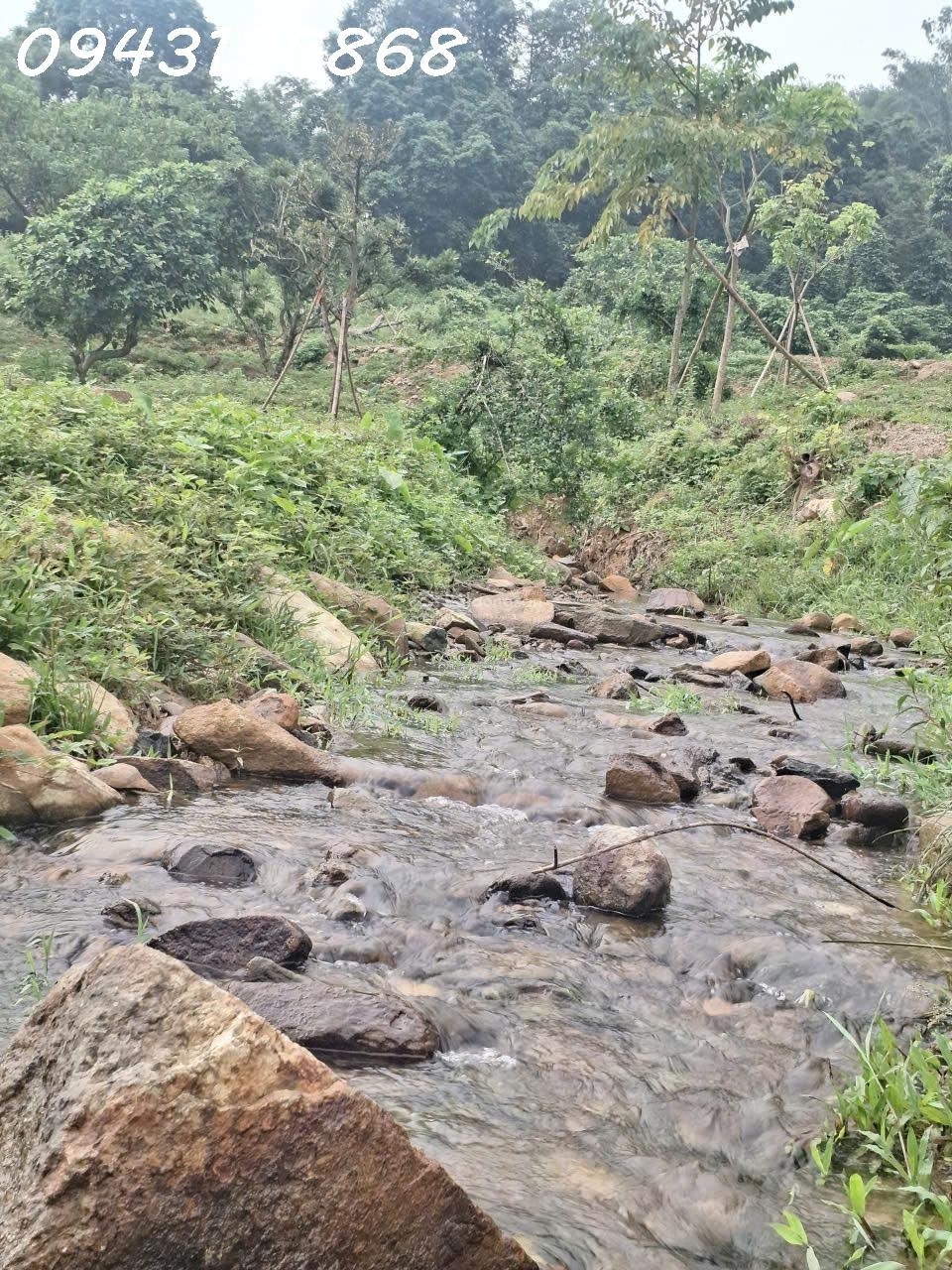 Siêu phẩm đất nghỉ dưỡng tại Hòa Sơn Lương Sơn Hòa Bình cơ hội đầu tư không thể bỏ lỡ