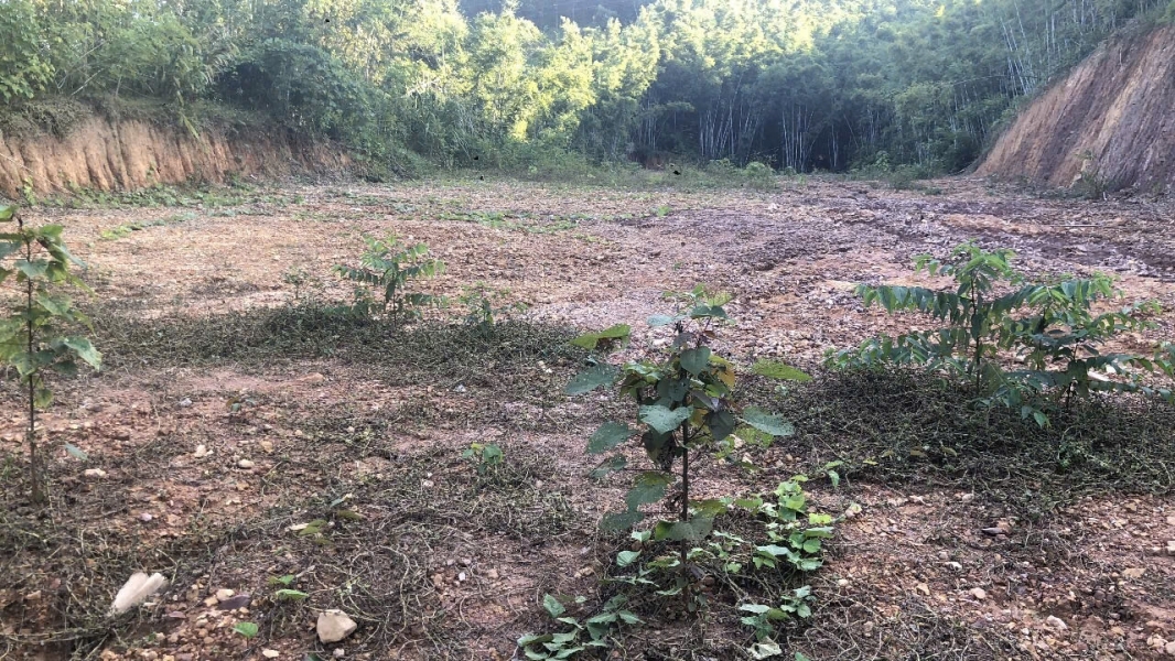 SIÊU PHẨM ĐẤT THỔ CƯ TẠI TRẠI LỐT – TAM TIẾN YÊN THẾ BẮC GIANG