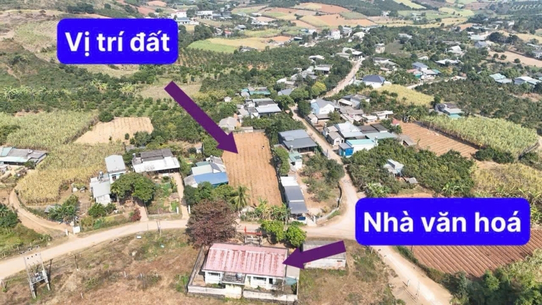 SỞ HỮU NGAY LÔ ĐẤT ĐẸP - GIÁ TỐT - Vị Trí Đắc Địa Tại Cao Phong Hoà Bình