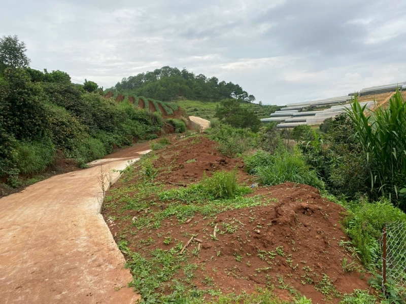 SỞ HỮU NGAY LÔ ĐẤT ĐẸP - GIÁ TỐT - Vị Trí Đắc Địa Tại Đa Quý Xã Xuân Thọ TP Đà Lạt Lâm Đồng