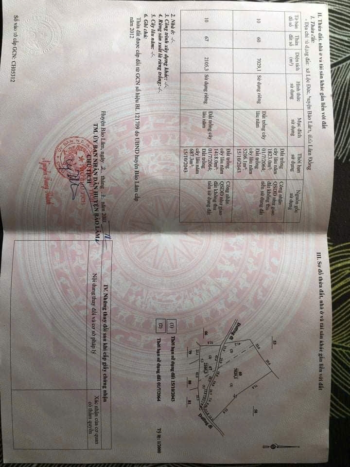 SỞ HỮU NGAY LÔ ĐẤT ĐẸP - GIÁ TỐT - Vị Trí Đắc Địa Tại Thôn Tiền Yên Lộc Đức Xã Bảo Lâm 2