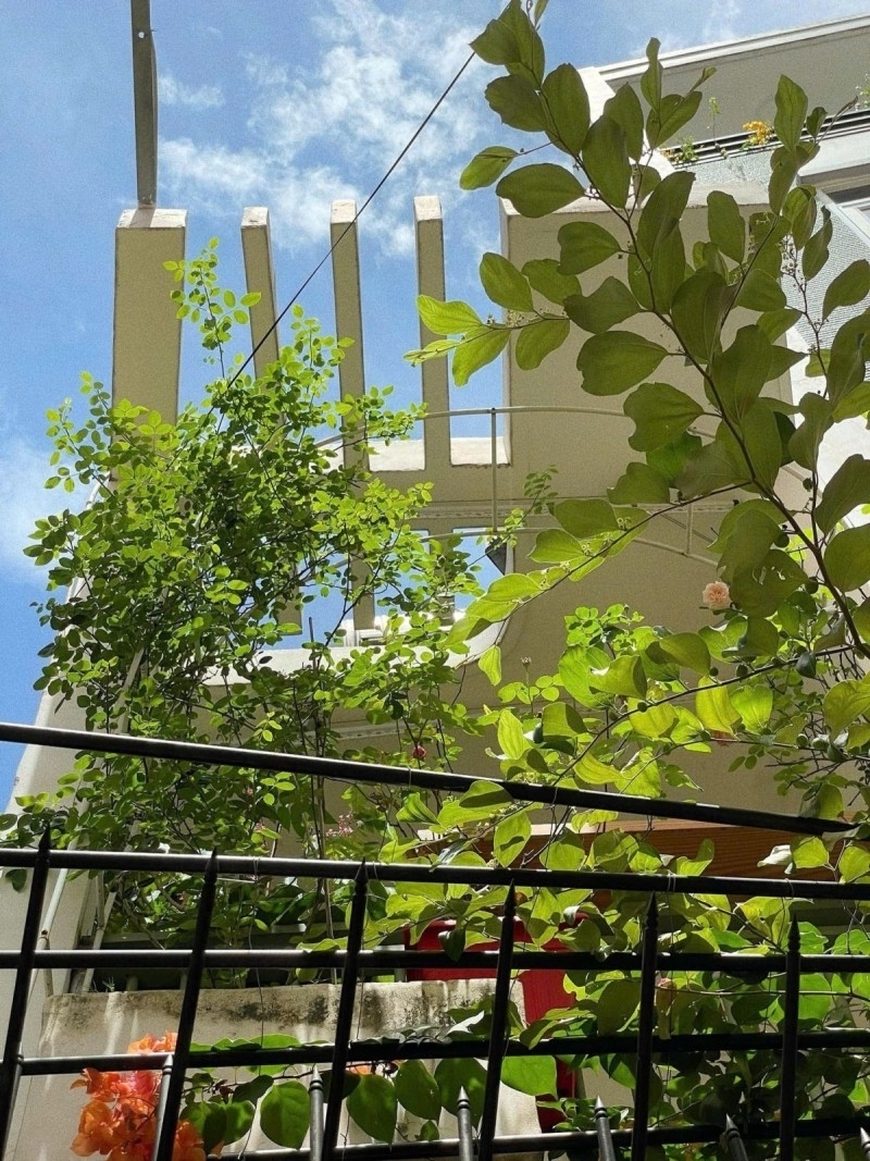 ‼️ Thích Quảng Đức Phú Nhuận – Hẻm đẹp yên tĩnh – 34m2 nở hậu – chỉ hơn 5 tỷ