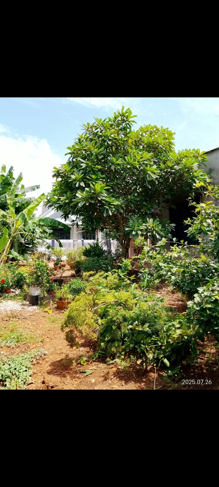 Tôi cần bán lô đất của mình rộng 390m2 gần biển và khu hành chính bằng giá hữu nghị.