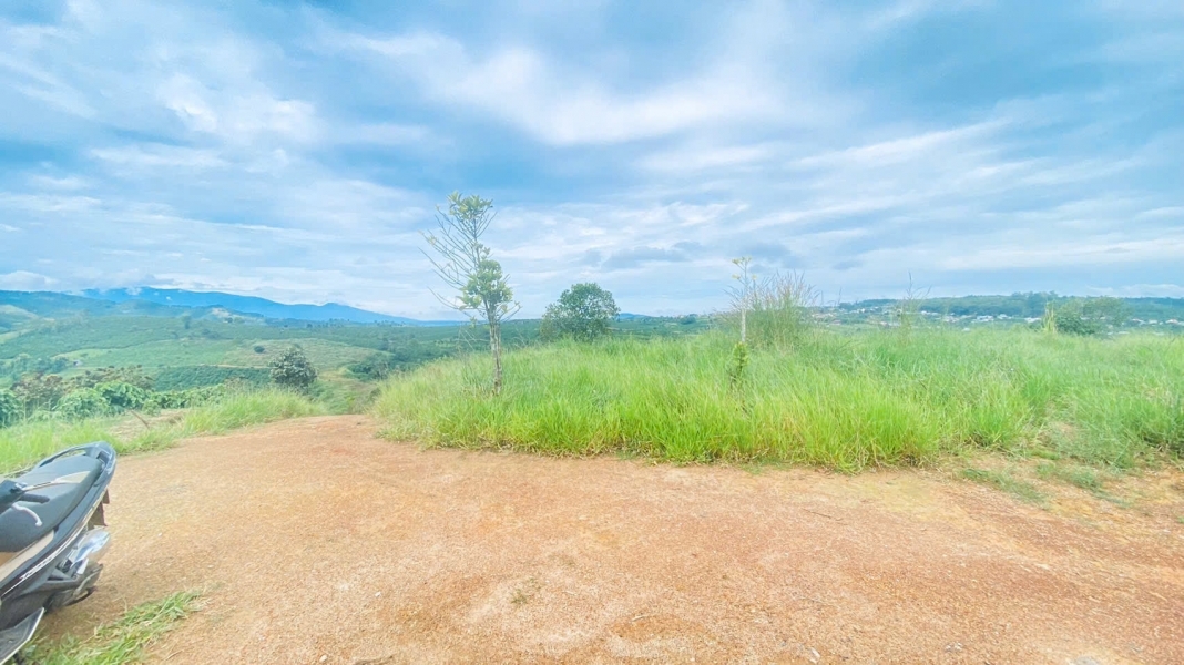 Tổng 1,4 héc ta, đất đẹp, view chill chill, nằm ngay ngã 3 hẻm thuộc hiệp thuận, ninh gia