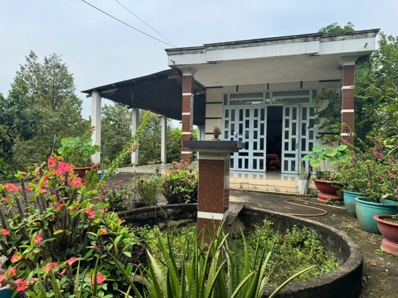 Trảng Bàng-Tây Ninh ngộp giảm 2 tỷ còn 2 tỷ 990tr dt 3555m2 sẵn nhà cấp 4 và vườn traí cây bám