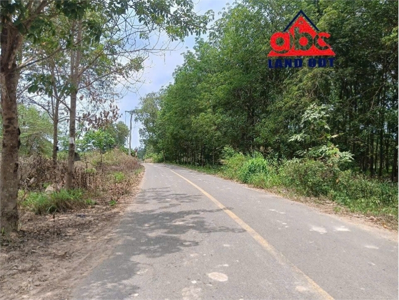 X090 bán nhà xưởng trên thửa đất rộng 9900m2 vị trí thuận lợi sản xuất nhiều ngành nghề