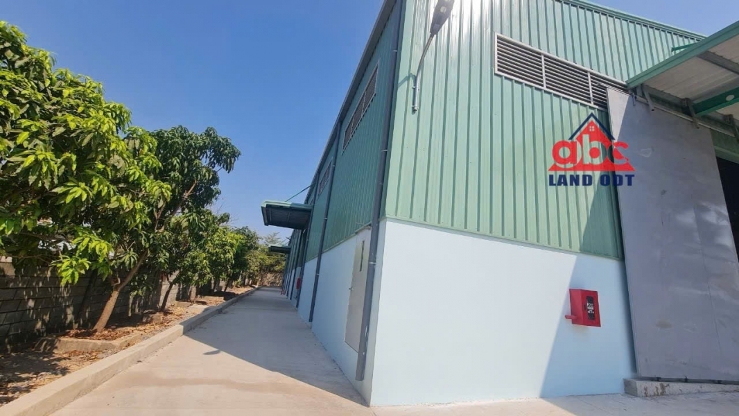 XT060 cho thuê nhà xưởng sản xuất kiên cố thích hợp đầu tư nhiều ngành nghề.