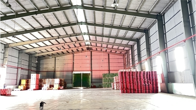 XT063 Nhà xưởng dựng hoàn thiện khung thép kiên cố trống xưởng bàn giao liền