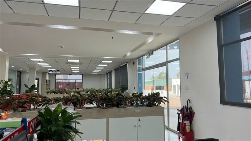 XT463 Cho Thuê Kho Ngoại Quan Xưởng sản xuất công nghệ cao trống xưởng giao liền