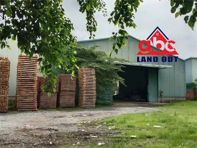 XT595 cho thuê nhà xưởng ổn định lâu dài xa KDC thuận lợi Sản xuất hàng hóa ngày đêm