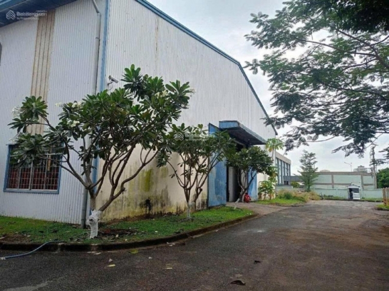 Xưởng cho thuê 1.360m² KCN Tân Bình Trần cao 9m PCCC vách tường Giá siêu tốt 112.000đ/m²